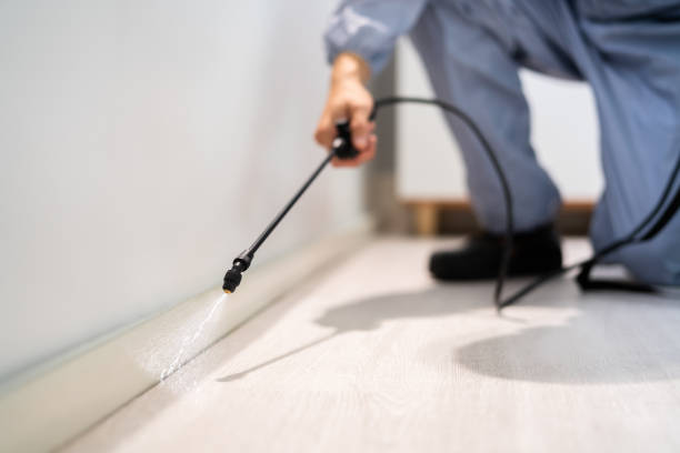 Bed Bug Pre-Treatment Preparation Assessment in Ohatchee