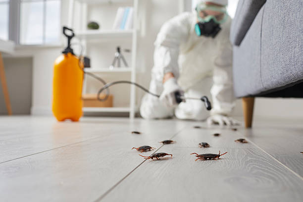 Post-Treatment Bed Bug Interceptor Monitoring in Ohatchee