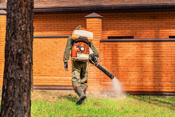 Bed Bug Clearance Verification and Documentation in Ohatchee